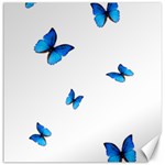 Butterfly-blue-phengaris Canvas 16  x 16 