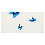 Butterfly-blue-phengaris Banner and Sign 4  x 2 