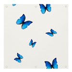 Butterfly-blue-phengaris Banner and Sign 4  x 4 