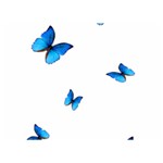 Butterfly-blue-phengaris Two Sides Premium Plush Fleece Blanket (Baby Size)