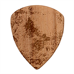 abstraction 22 Wood Guitar Pick (Set of 10) from UrbanLoad.com Front