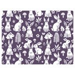 Easter bunny pattern 40  x 30  Two Sides Premium Plush Fleece Blanket (Baby Size)