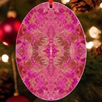 Tondo symmetry UV Print Acrylic Ornament Oval