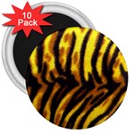 Tiger Pattern 3  Magnet (10 pack)