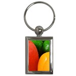 Three Colors Key Chain (Rectangle)