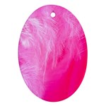 Pink Feather Ornament (Oval)
