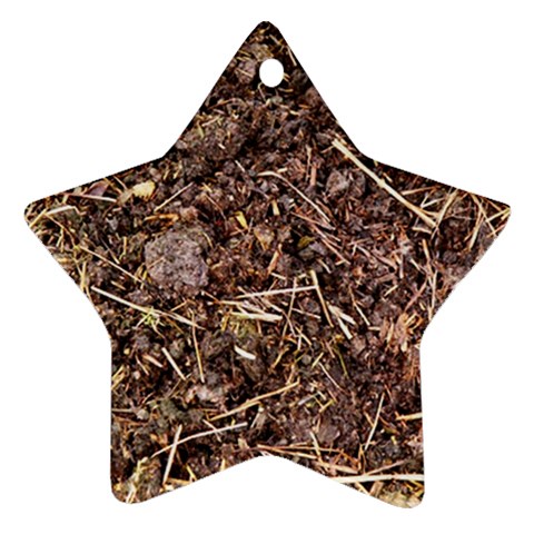 Manure...lol :) Ornament (Star) from UrbanLoad.com Front