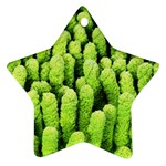 Microfibre cloth Ornament (Star)