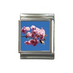 Japanese flowering cherry Italian Charm (13mm)