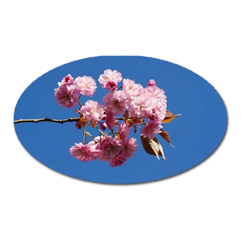Japanese flowering cherry Magnet (Oval) from UrbanLoad.com Front