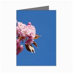 Japanese flowering cherry Mini Greeting Card