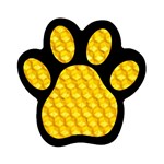 Honeycomb Magnet (Paw Print)