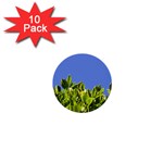 Hedge  1  Mini Button (10 pack) 