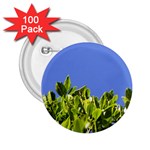 Hedge  2.25  Button (100 pack)