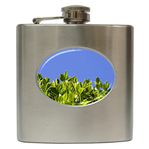 Hedge  Hip Flask (6 oz) from UrbanLoad.com Front