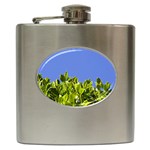 Hedge  Hip Flask (6 oz)
