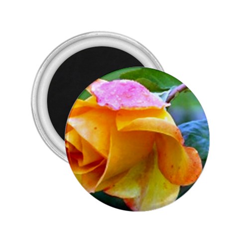 Orange Rose   2.25  Magnet from UrbanLoad.com Front