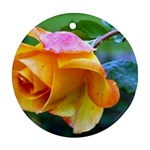 Orange Rose   Ornament (Round)
