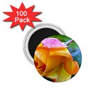 Orange Rose   1.75  Magnet (100 pack) 