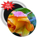 Orange Rose   3  Magnet (100 pack)