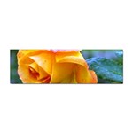 Orange Rose   Sticker (Bumper)