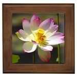 Lotus Flower Long   Framed Tile