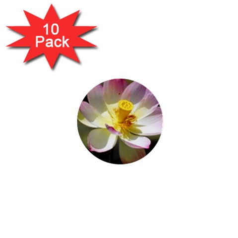 Lotus Flower Long   1  Mini Button (10 pack)  from UrbanLoad.com Front