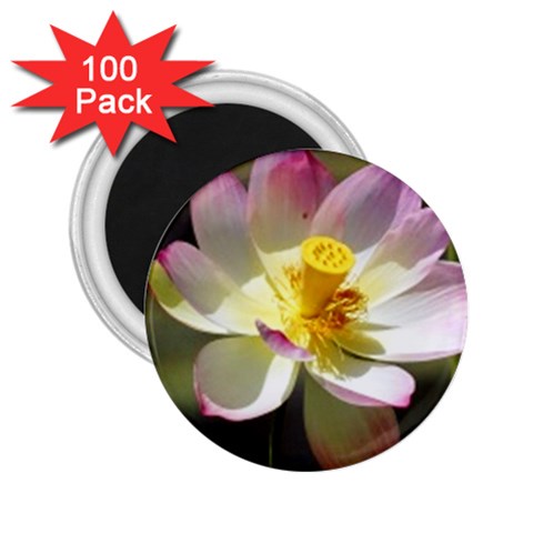 Lotus Flower Long   2.25  Magnet (100 pack)  from UrbanLoad.com Front