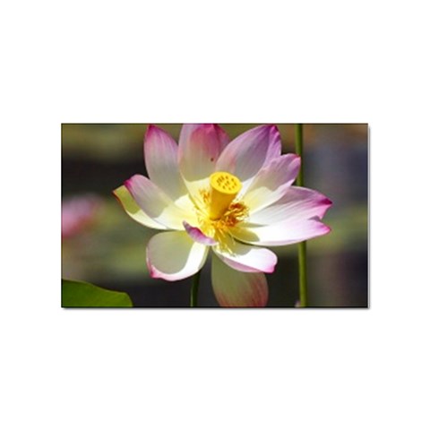 Lotus Flower Long   Sticker (Rectangular) from UrbanLoad.com Front
