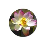 Lotus Flower Long   Magnet 3  (Round)