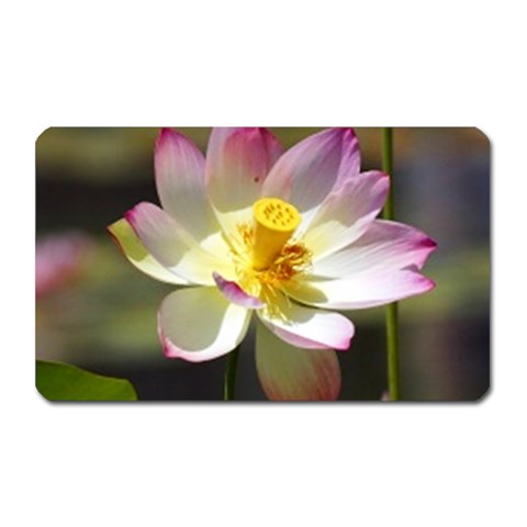 Lotus Flower Long   Magnet (Rectangular) from UrbanLoad.com Front
