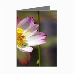 Lotus Flower Long   Mini Greeting Card from UrbanLoad.com Left