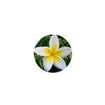 Good Morning Flower  1  Mini Button