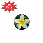 Good Morning Flower  1  Mini Button (10 pack) 