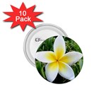 Good Morning Flower  1.75  Button (10 pack) 