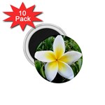 Good Morning Flower  1.75  Magnet (10 pack) 