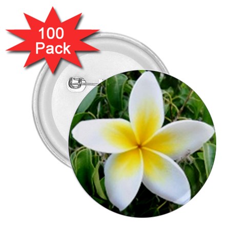 Good Morning Flower  2.25  Button (100 pack) from UrbanLoad.com Front