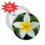 Good Morning Flower  2.25  Button (100 pack)