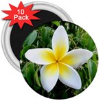 Good Morning Flower  3  Magnet (10 pack)