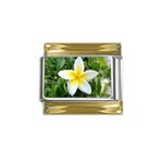 Good Morning Flower  Gold Trim Italian Charm (9mm)