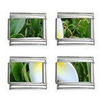 Good Morning Flower  9mm Italian Charm (4 pack)