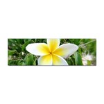 Good Morning Flower  Sticker Bumper (100 pack)