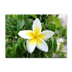 Good Morning Flower  Sticker A4 (10 pack)