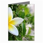 Good Morning Flower  Greeting Card