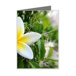 Good Morning Flower  Mini Greeting Card