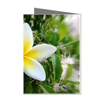 Good Morning Flower  Mini Greeting Cards (Pkg of 8)