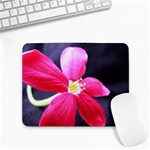 Antina Flower  Small Mousepad