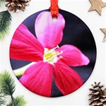 Antina Flower  Ornament (Round)