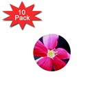 Antina Flower  1  Mini Button (10 pack) 