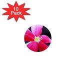 Antina Flower  1  Mini Magnet (10 pack) 